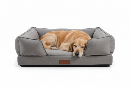 Orthopedic Dog Bed – Memory Foam, Washable Cover